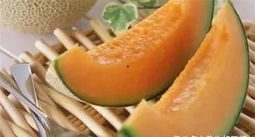 吃白哈密瓜,探寻白哈密瓜的甜蜜诱惑
