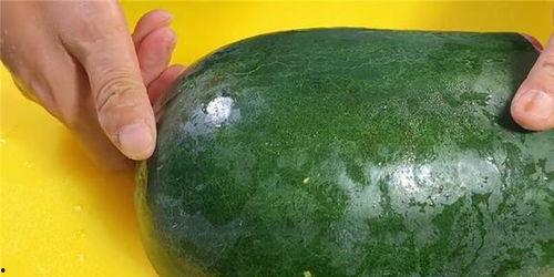 吃囊瓜,从种植到餐桌的奇妙旅程