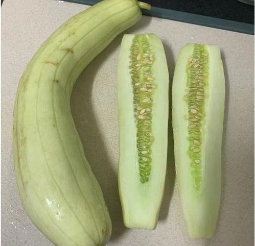 吃囊瓜,从种植到餐桌的奇妙旅程