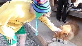 憨憨吃瓜视频,揭秘网络红人的爆笑日常