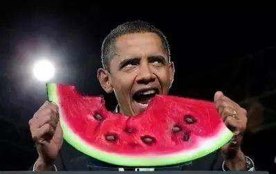 明星吃瓜比赛,娱乐圈风云再起，谁将笑到最后？