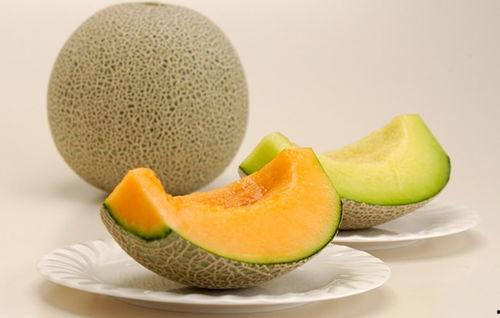 哈密瓜和奶能一起吃吗,哈密瓜与奶制品的搭配禁忌解析