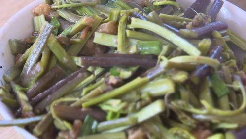 广南人吃瓜尖,探寻瓜尖的独特魅力