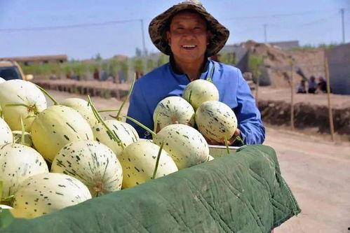 瓜州县吃啥,探寻丝绸之路上的味蕾之旅