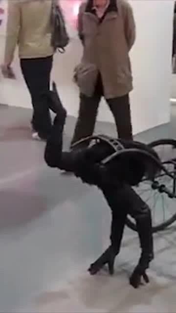 吃鸵鸟瓜,一场味蕾与自然的邂逅