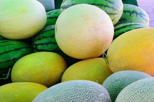 成都吃瓜哪家好,揭秘成都吃瓜哪家强