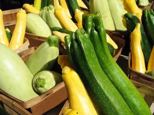 海曙吃瓜,探寻美食背后的故事与风情