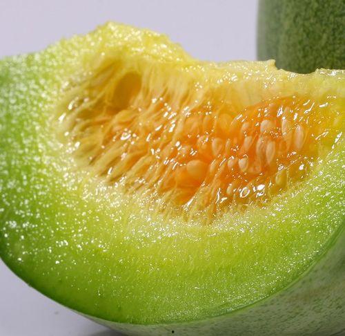 去瓜地找瓜吃,一场寻瓜之旅的欢乐体验