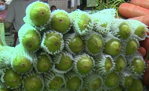 圆球葫芦瓜怎么吃,圆球葫芦瓜的多样食法探索