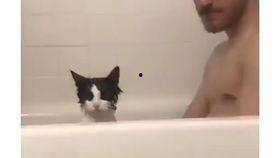 阿蒲吃的瓜,阿蒲的瓜界探险记