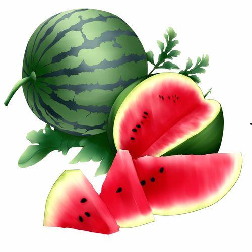 阿蒲吃的瓜,阿蒲的瓜界探险记