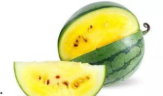 吃沙瓜还是脆瓜好吃,口感对决，谁才是夏日消暑佳选？