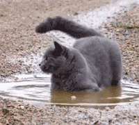 村口大妈吃瓜gif,笑料百出！