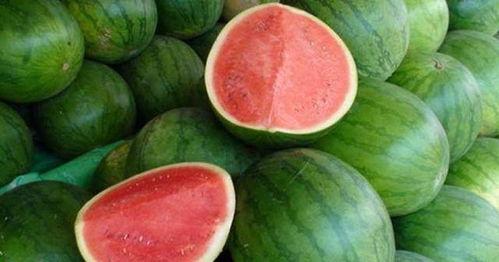 色吃瓜,揭秘色吃瓜的独特魅力