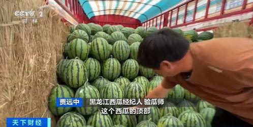 郫都小升初吃瓜,家长热议背后的真相