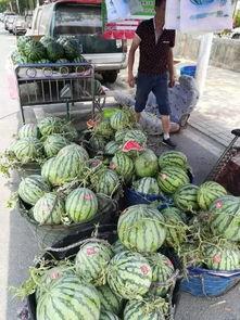 阳江网红吃瓜事件