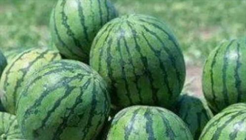 梦见吃绿色瓜很甜,揭秘绿色瓜的神秘寓意