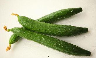 减肥期间吃瓜了,揭秘瓜类减肥新选择