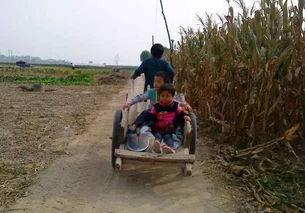 砀山吃瓜在路上,吃瓜路上的悠闲时光