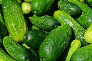 梦见吃瓜 狠甜,揭秘“梦见吃瓜狠甜”的神秘寓意