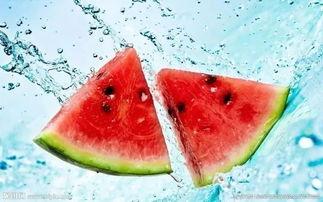 无根门吃瓜,揭秘神秘吃瓜背后的江湖风云