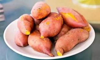 无根门吃瓜,揭秘神秘吃瓜背后的江湖风云