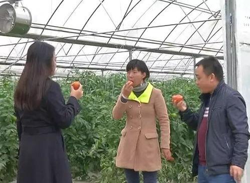 吃瓜群众围观抓捕,抓捕现场直击