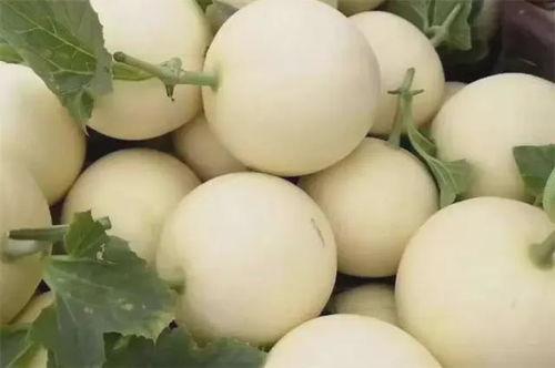 六月瓜怎么吃,解锁夏日清新美味