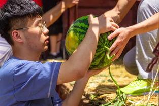 各个高校吃瓜视频,校园吃瓜视频盘点，揭秘校园生活百态