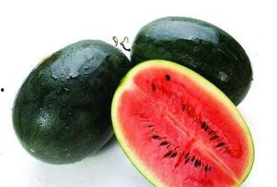 2515071吃瓜,吃瓜群众的狂欢盛宴