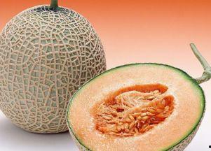 七岁天天吃哈密瓜可以吗
