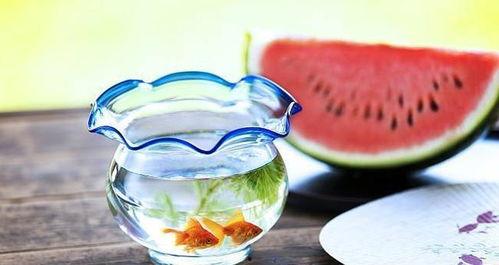 吃瓜群众黑暗料理,创意无限，口味成谜