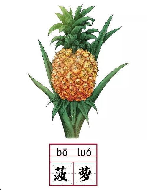 拼音吃瓜,揭秘吃瓜群众的趣味生活