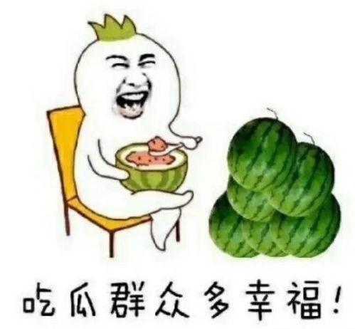 快乐vip吃瓜,娱乐八卦一网打尽