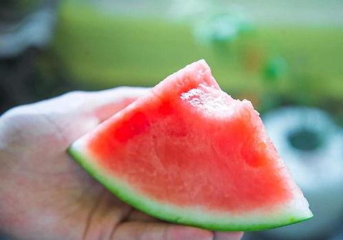 快乐vip吃瓜,娱乐八卦一网打尽