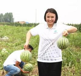 少年吃瓜团,揭秘校园里的“瓜田”趣事