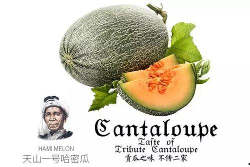 专门吃瓜号,那些你不知道的幕后吃瓜故事