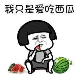 吃瓜磕瓜很快乐图片搞笑,吃瓜磕瓜，欢乐无限