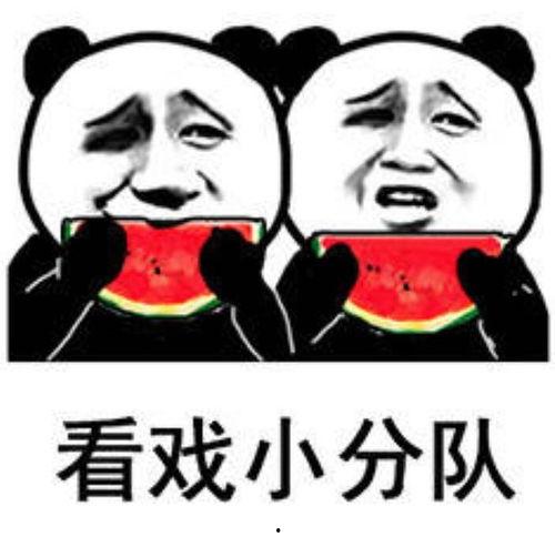 吃瓜磕瓜很快乐图片搞笑,吃瓜磕瓜，欢乐无限