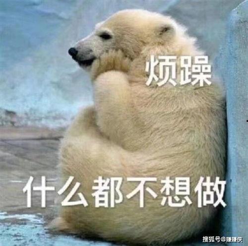 真实的吃瓜群众图片搞笑,一张真实搞笑图片引发的笑料横生