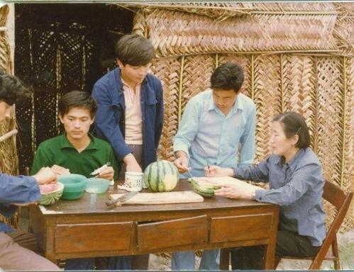 同学吃瓜小说,那些年我们一起吃过的小说瓜