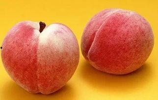 吃桃摸瓜,探寻夏日果实的甜蜜奥秘