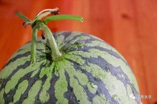 吃瓜大姐头,揭秘吃瓜大姐头的传奇故事