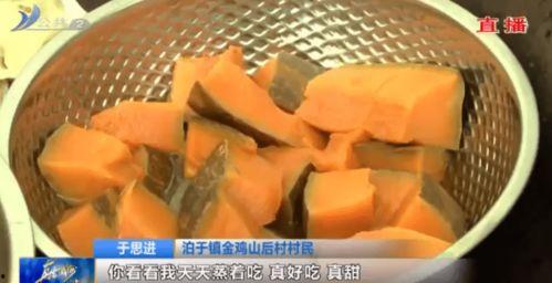 盐城大丰吃瓜,夏日炎炎，瓜果飘香，尽享田园美味之旅