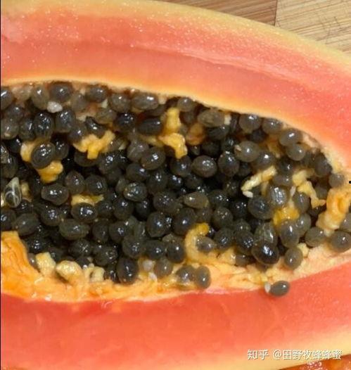 咽炎吃土瓜好吗,土瓜食疗助缓解不适