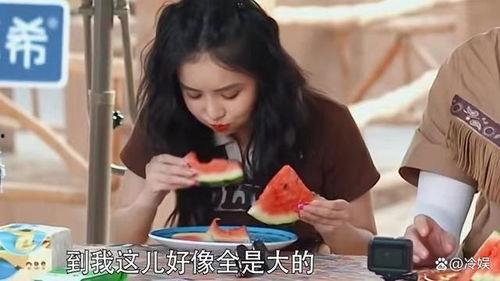 白鹿蹲着吃瓜,悠闲生活图景