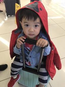 吃瓜小熊cos,萌态可掬，趣味横生