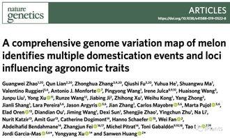 吃瓜论文献免费,揭秘吃瓜论文背后的学术奥秘