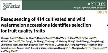 吃瓜论文献免费,揭秘吃瓜论文背后的学术奥秘