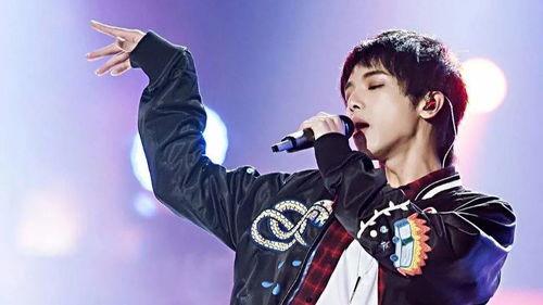 华晨宇吃瓜歌手,从吃瓜歌手到音乐巨匠的蜕变之路